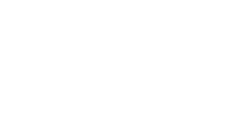 Bauknecht Logo weiß