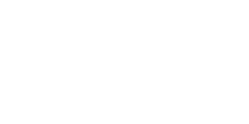 Blaupunkt Logo weiß